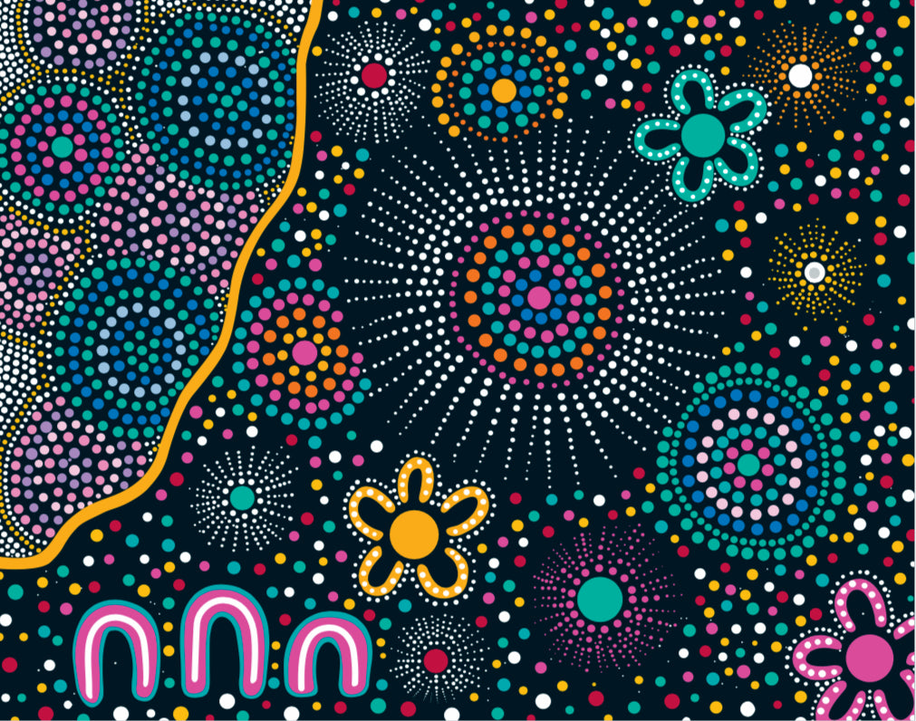 Minky Blankets